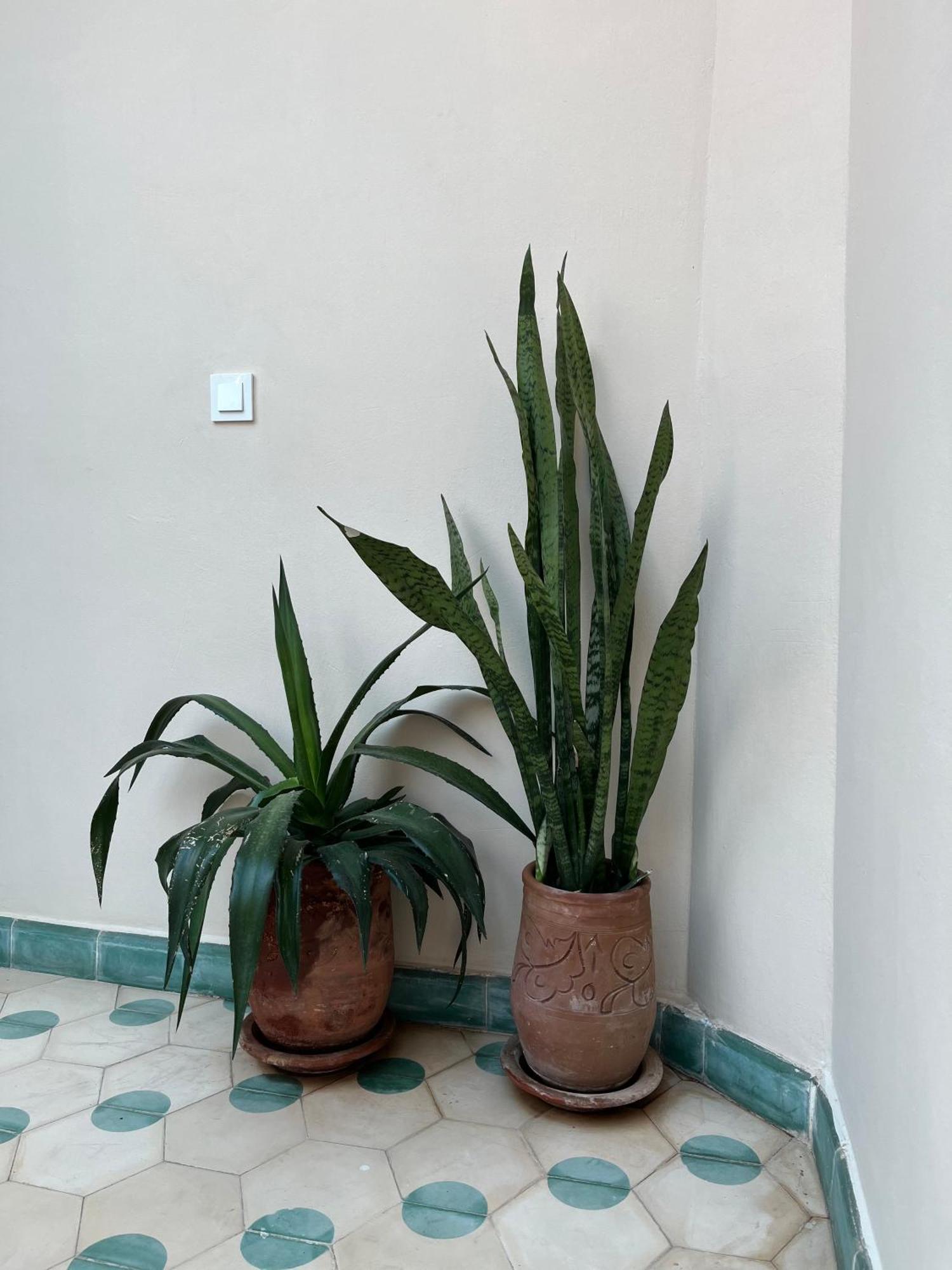 Riad Imndi Marrakesh Luaran gambar